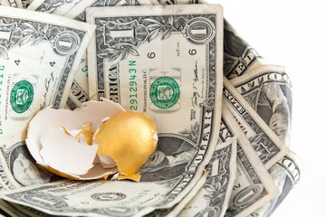 Pieces of a failed golden egg in a money nest