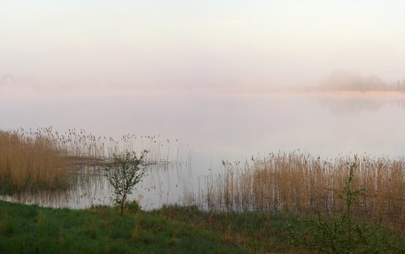 Morning foggy lake © milosz_g
