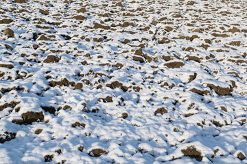 First snow of the year in a field
