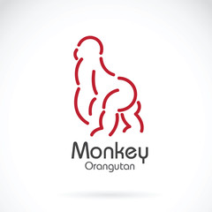 Fototapeta na wymiar Vector image of monkey orangutan design on white background