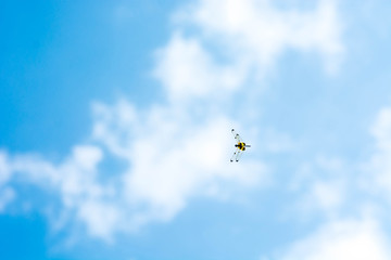 dragonfly flying on blue sky(Rhyothemis phyllis)