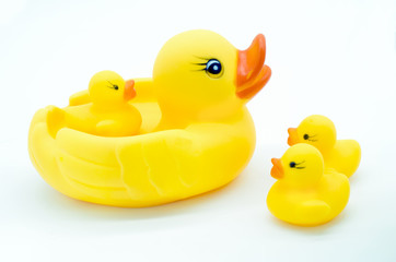 Rubber yellow duck toy on white background, Close up and Selective focus 
