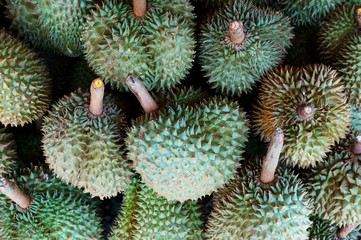 Naklejka na ściany i meble durian fruit.