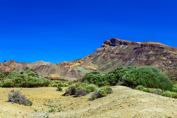 Fototapeta na wymiar Mountains landscape on Tenerife island
