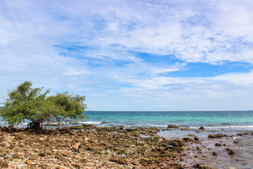 The Koh larn Island in Thailand