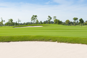 Naklejka premium golf field