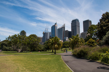 Obraz premium City view with city parks and building