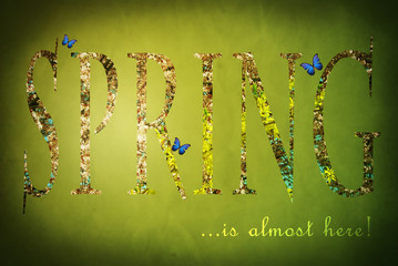 Green spring illustration with the flower-patterned text 