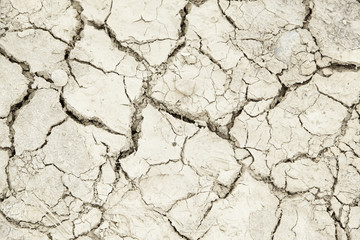 Dry soil by drought