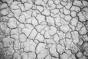 Dry soil by drought