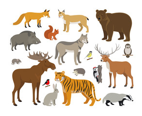 Set of Forest Animals