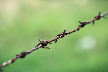 barded wire with green background.