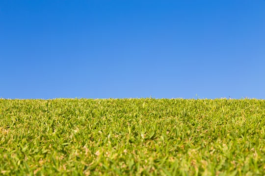 青空と芝生 背景素材 Stock Photo Adobe Stock