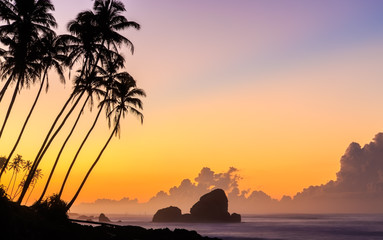Sunrise at the beach with palm trees