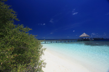 Jetty and lagoon of maldivian island 