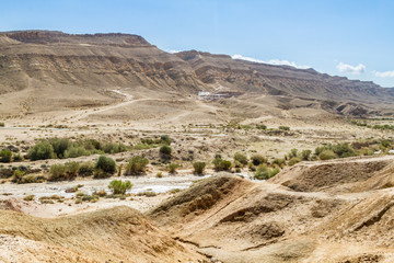 The Negev Desert