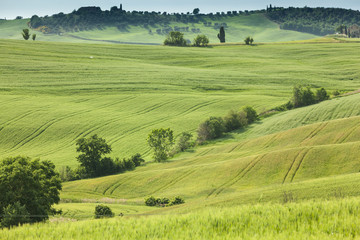Spring landscape of fields Tuscany, Italy