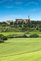 Fototapeta na wymiar Spring landscape of fields Tuscany, Italy