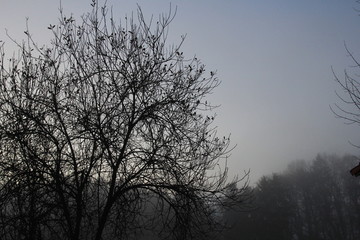 Landschaft im Nebel