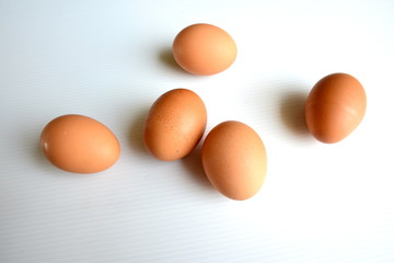 Eggs