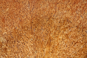 Balsa Wood Background
