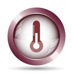 Thermometer icon