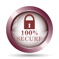 100 percent secure icon