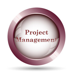 Project management icon