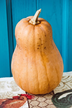 pumpkin