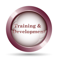 Training and development icon