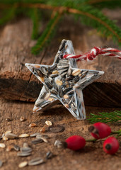 Star shaped wild bird food suet cake. Birdseed Christmas ornament.   © Oksana Schmidt