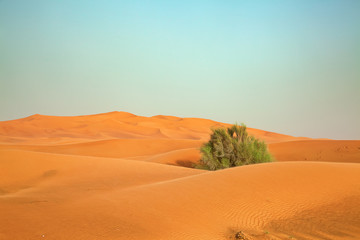 Red sand desert