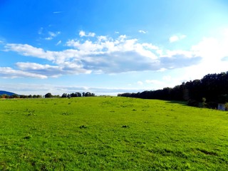 Meadow, forest and sky