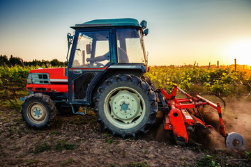 Tractor in the vineyard at sunset