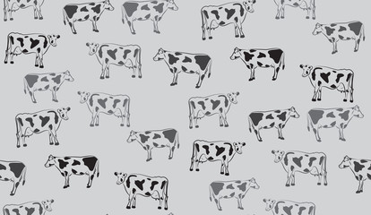 Vector abstract seamless pattern of cows. Chaotic cow.