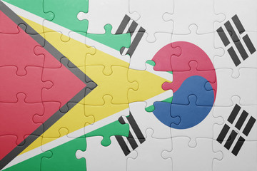 puzzle with the national flag of guyana and south korea