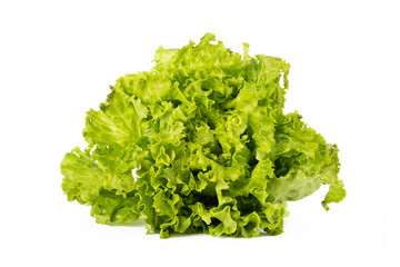 lettuce