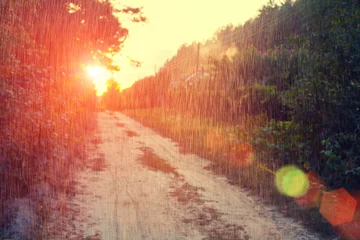 Foto op Plexiglas Zalmroze Landelijk landschap in de zomer. Onverharde weg bij zonsondergang
