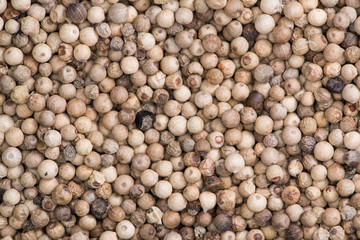 White Peppercorns (background image)