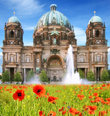 Fototapeta na wymiar Beautiful landscape with poppies and Berlin Cathedral (Berliner