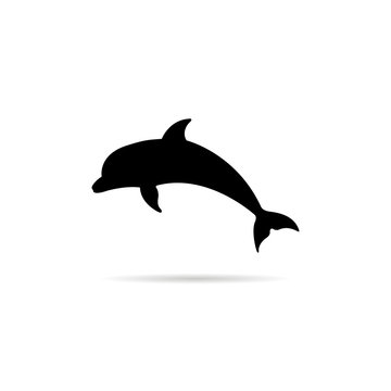 Dolphin Silhouette Images – Browse 21,611 Stock Photos, Vectors, and Video  | Adobe Stock