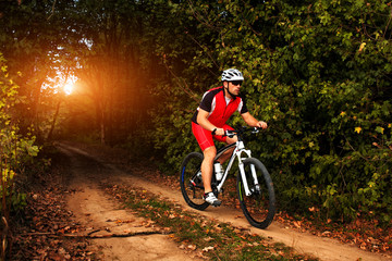 Biker on the forest road riding outdoor