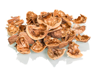 Walnut shells isolated