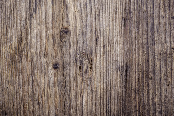 Obraz premium Texture of old rotten wood closeup