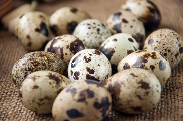 Fototapeta premium Quail eggs on the background burlap