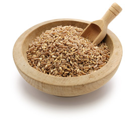 spelt, farro, primitive wheat