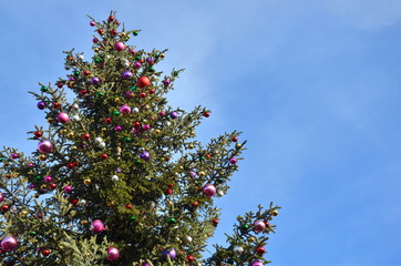 Weihnachtsdekoration