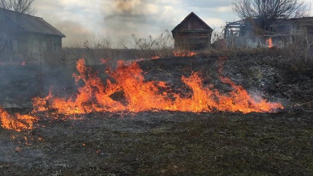 Fire rages in long grass, foreground 