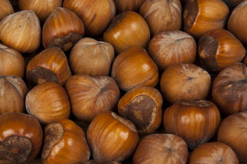 hazelnuts on a wooden table