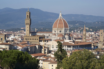 Florence. View of the town from the Hills